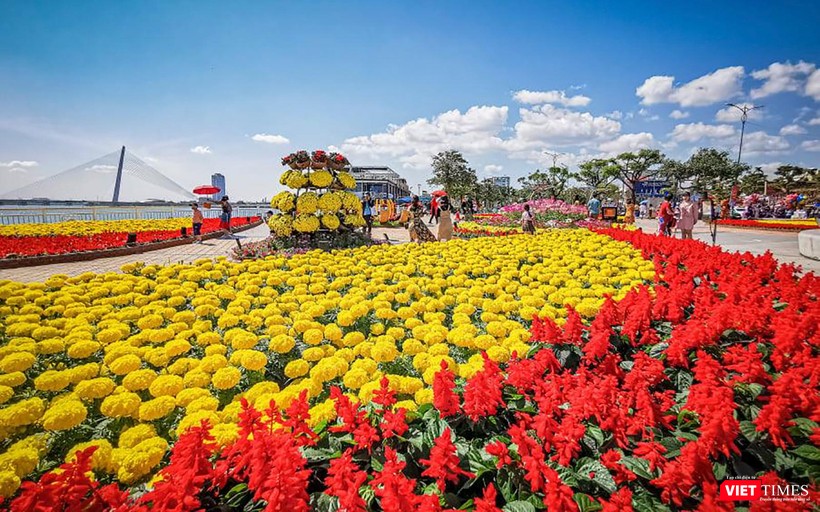 Đường hoa (ảnh Minh Tú)