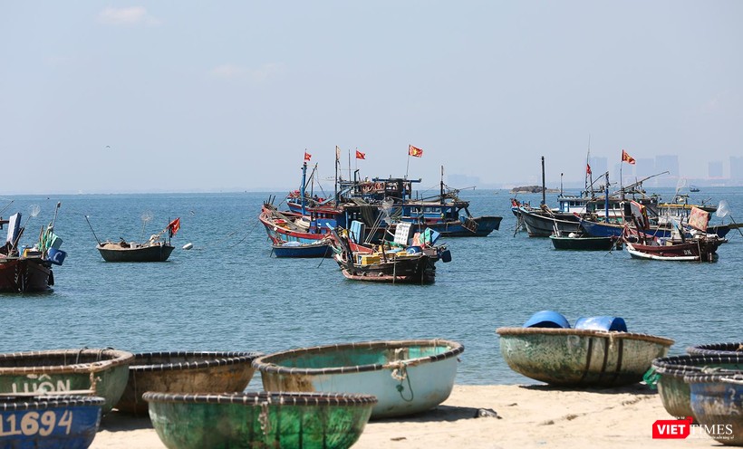 Thuyền thúng được kéo lên bờ