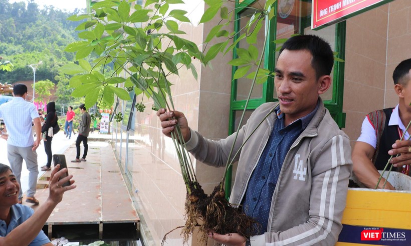 Cây sâm Ngọc Linh được chủ nhân ra giá giá 900 triệu đồng tại phiên chợ sâm huyện Nam Trà My (Quảng Nam)