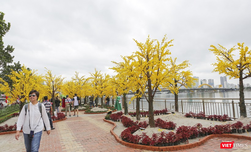 Tranh thủ thời tiết đẹp, người dân và du khách đi du xuân đường hoa...