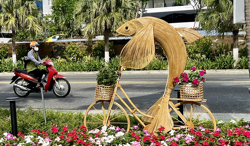 duong hoa bien 9.png