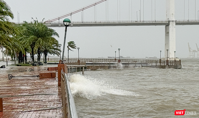 vt_bao tra mi da nang 19.png