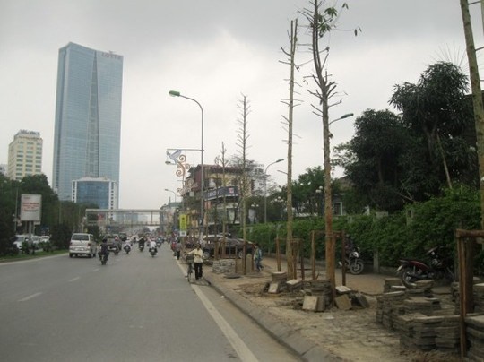 hay vào những hàng cây xanh xum xuê lá trước kia là hàng cây mới trồng cao chừng vài ba m, trụi lá 