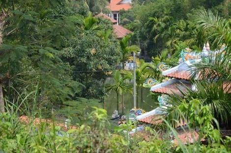 Phong cảnh khu biệt phủ khá thích hợp làm khu sinh thái