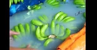 Bộ trưởng Cao Đức Phát "lạnh xương sống" vì chuối độc, thịt nhiễm hóa chất ảnh 1