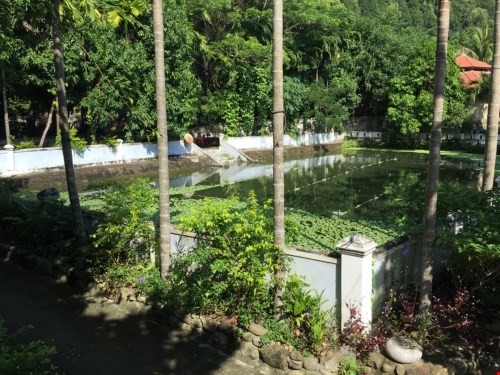 Choáng trước đồ quý trong biệt phủ 100 tỉ của đại gia vàng ở đèo Hải Vân ảnh 24 Choáng trước đồ quý trong biệt phủ 100 tỉ của đại gia vàng ở đèo Hải Vân ảnh 24