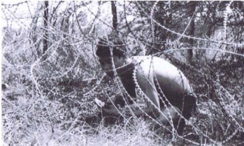 Cắt hàng rào dây thép gai.