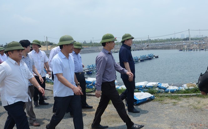 Phó thủ tướng Trịnh Đình Dũng thị sát tình hình cá biển chết tại Hà Tĩnh