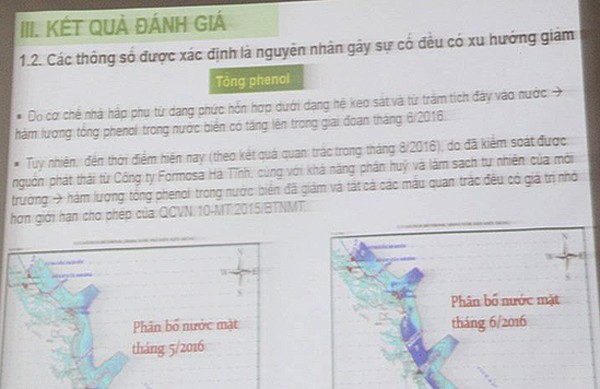 Vẫn chưa rõ cá miền Trung đã ăn được hay chưa ảnh 9 Vẫn chưa rõ cá miền Trung đã ăn được hay chưa ảnh 9