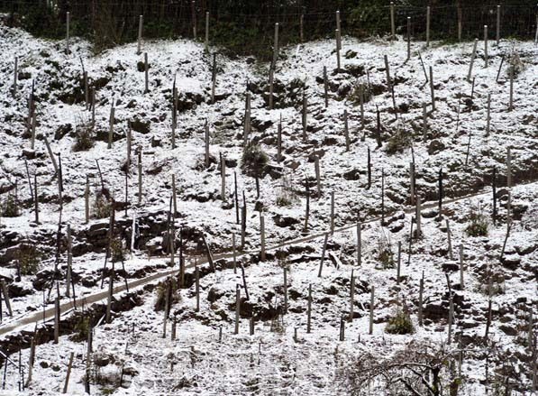 Sáng nay, khu vực này khá vắng người qua lại.