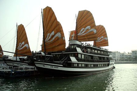 Đại gia xin lấn Vịnh Hạ Long xây biệt thự giàu cỡ nào? ảnh 5 Đại gia xin lấn Vịnh Hạ Long xây biệt thự giàu cỡ nào? ảnh 5