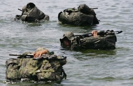 Những lực lượng uy mãnh của hải quân Hàn Quốc ảnh 2