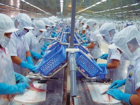 Các doanh nghiệp xuất khẩu nông sản, thủy sản sẽ chịu nhiều thua thiệt và có áp lực cạnh tranh lớn trước việc Trung Quốc phá giá NDT