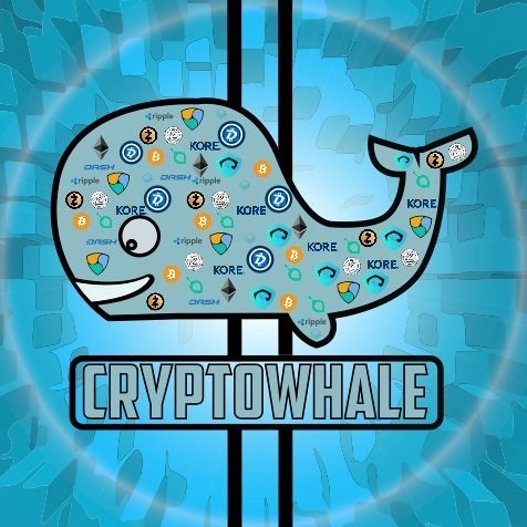 Triệu phú Bitcoin 19 tuổi truyền bá tiền ảo mới 'ngon bổ rẻ' trên toàn thế giới - Ảnh 2