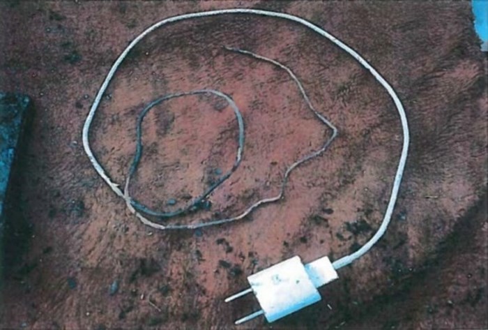 Cặp đôi đòi Apple bồi thường 600 ngàn USD vì iPhone 6 bốc cháy, thiêu rụi cả căn nhà - Ảnh 2