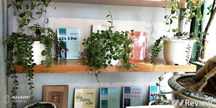 Cận cảnh Sharp Aquos S3 đầu tiên tại Việt Nam: màn tai thỏ 6 inch, Snapdragon 630, giá dự kiến 11 triệu đồng - Ảnh 16