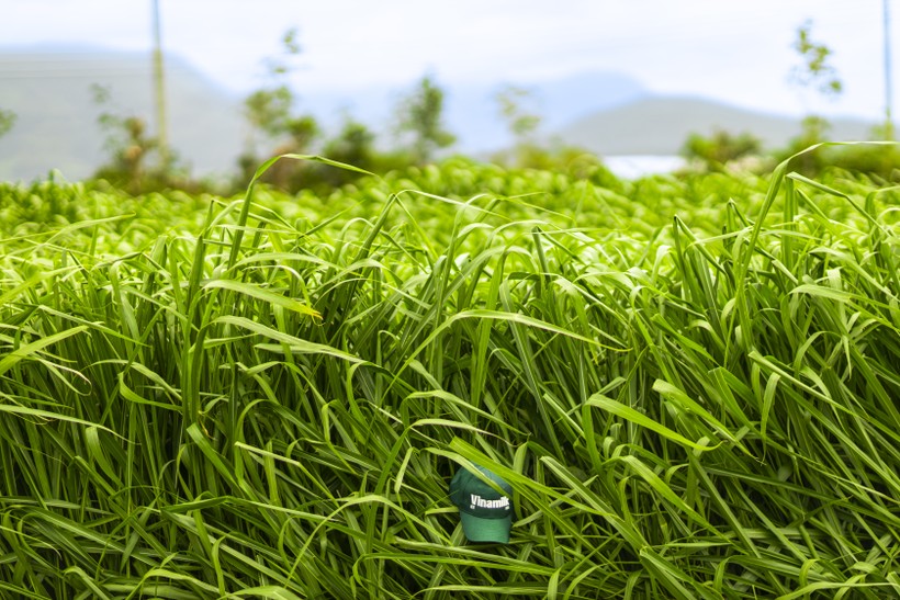 Farm tour VBCSD - 07a.jpg