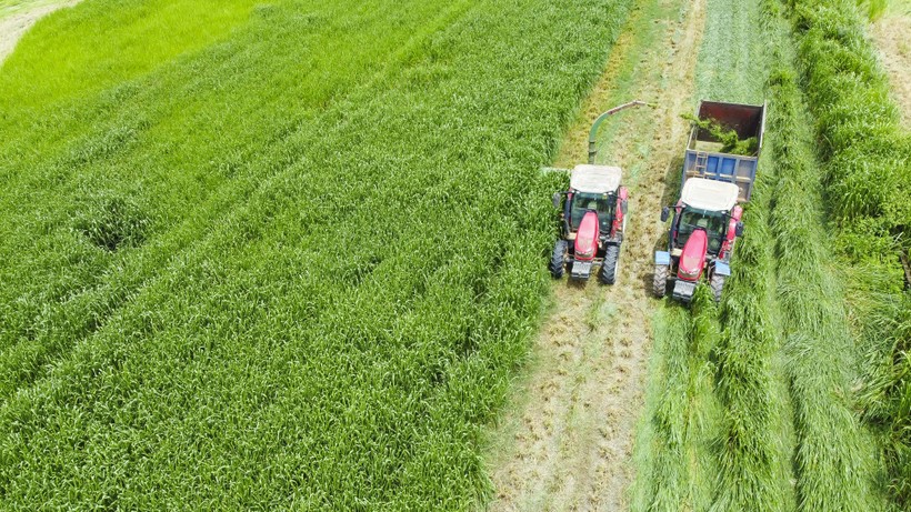 Farm tour VBCSD - 11b.jpg