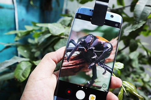 Độ ống kính chụp macro cho smartphone ảnh 4 Độ ống kính chụp macro cho smartphone ảnh 4
