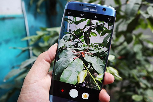 Độ ống kính chụp macro cho smartphone ảnh 3 Độ ống kính chụp macro cho smartphone ảnh 3