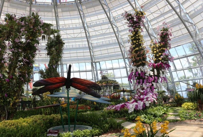 Thiên đường Hoa Lan khoe sắc hàng trăm loài lan rừng quý hiếm