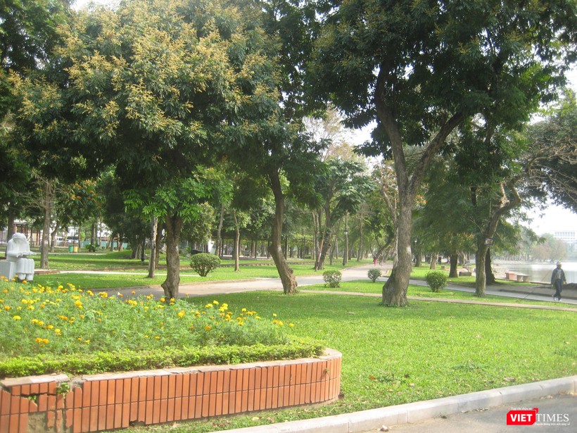 Cây xanh trong Công viên Thống Nhất ở Hà Nội