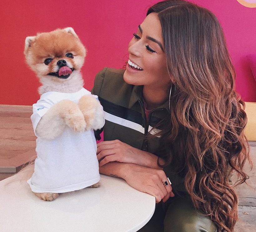 Chú chó Jiff Pom nổi tiếng ra sao mà được xuất hiện trong sự kiện lớn nhất năm của Facebook? ảnh 3 Chú chó Jiff Pom nổi tiếng ra sao mà được xuất hiện trong sự kiện lớn nhất năm của Facebook? ảnh 3