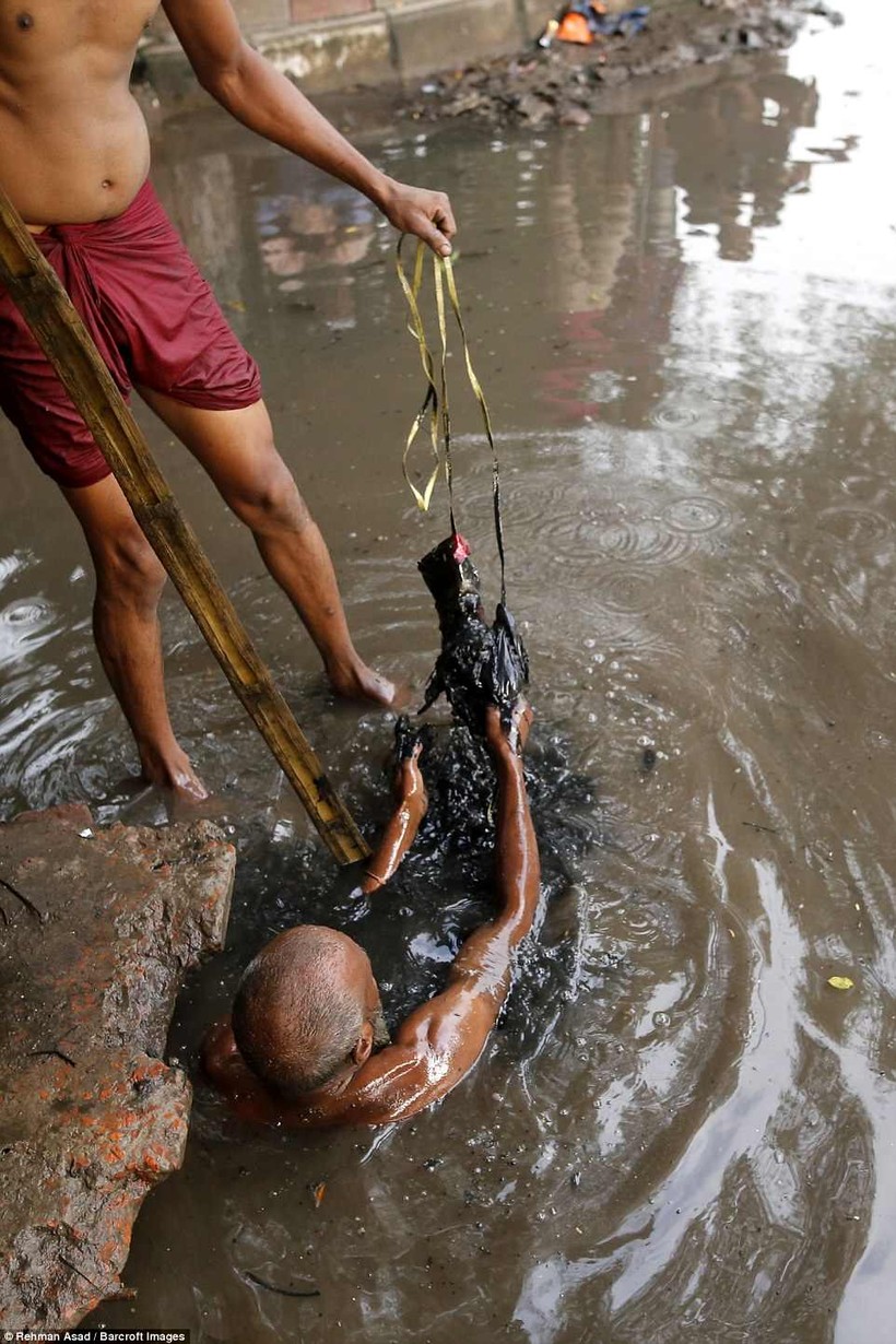 Họ dọn rác bằng một cây gậy hoặc đôi tay trần, không hề có dụng cụ bảo hộ lao động Họ dọn rác bằng một cây gậy hoặc đôi tay trần, không hề có dụng cụ bảo hộ lao động