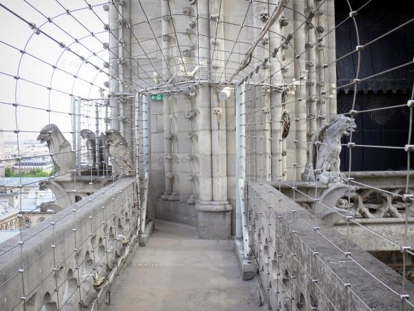 Các bức tượng trên nóc nhà thờ Các bức tượng trên nóc nhà thờ