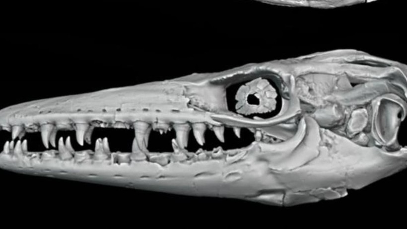 mo hinh 3D cua bo sat co dai.jpg