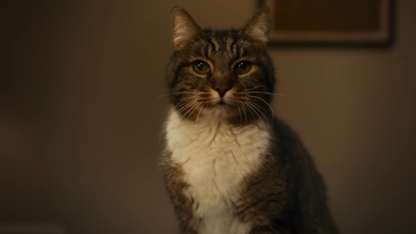 quang cao iOS 26 - Phone Arena.jpg