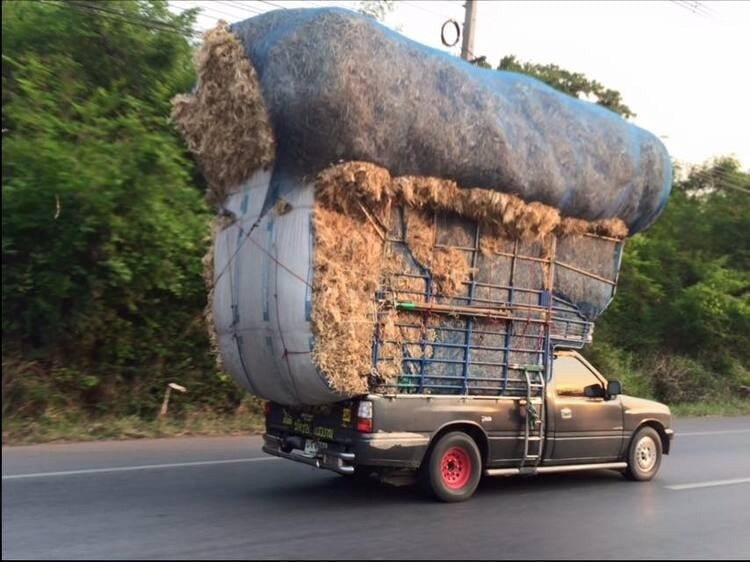 Người dân Thái Lan ưa chuộng bán tải nhờ tính đa dụng và khả năng chuyên chở hàng hoá rất đa dạng. 2885739-5b8516070112ac89102f2832.jpg
