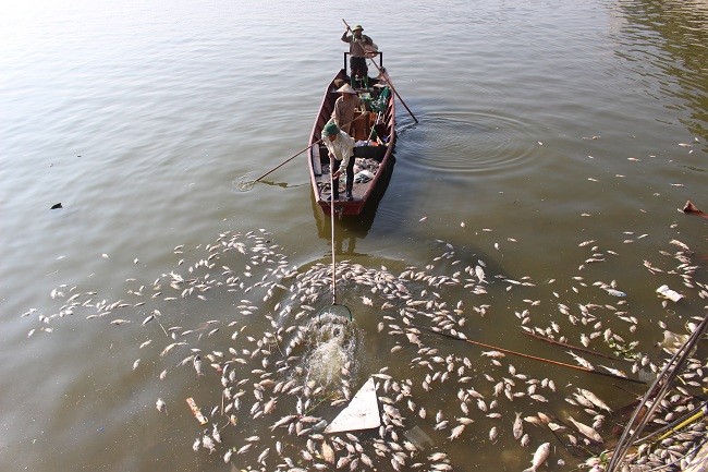 Tuy nhiên, cô Tuyết cũng ho biết thêm: 