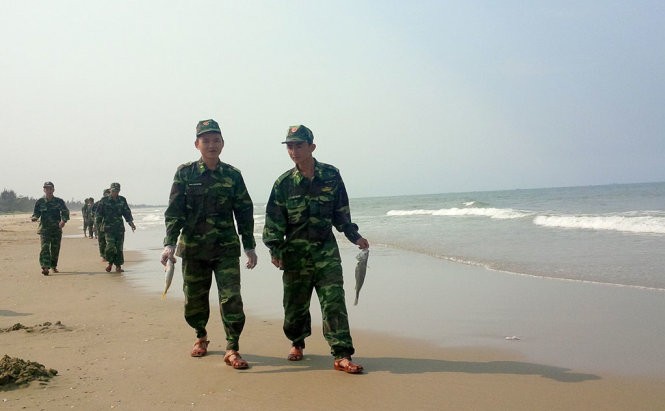 Chiều 25-4, đơn vị bộ đội địa phương được huy động đi thu gom cá mới chết dạt vào bãi biển thôn Đá Nhảy, xã Thanh Trạch - Ảnh: Quốc Nam