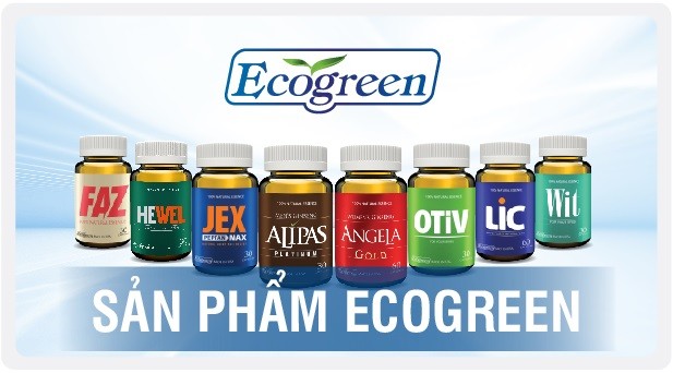 “Hệ sinh thái” y dược của ông chủ Eco Pharma ảnh 1 Eco Pharma - nhà phân phối độc quyền sâm Alipas Platinum, sâm Angela Gold: Doanh thu nghìn tỷ, lợi nhuận mỏng tang...
