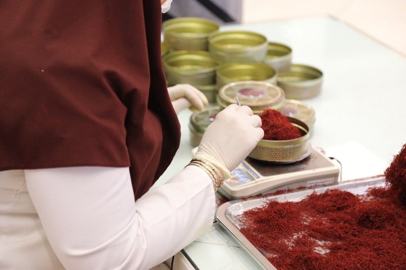 Công đoạn sản xuất Saffron tỉ mỉ và nghiêm ngặt