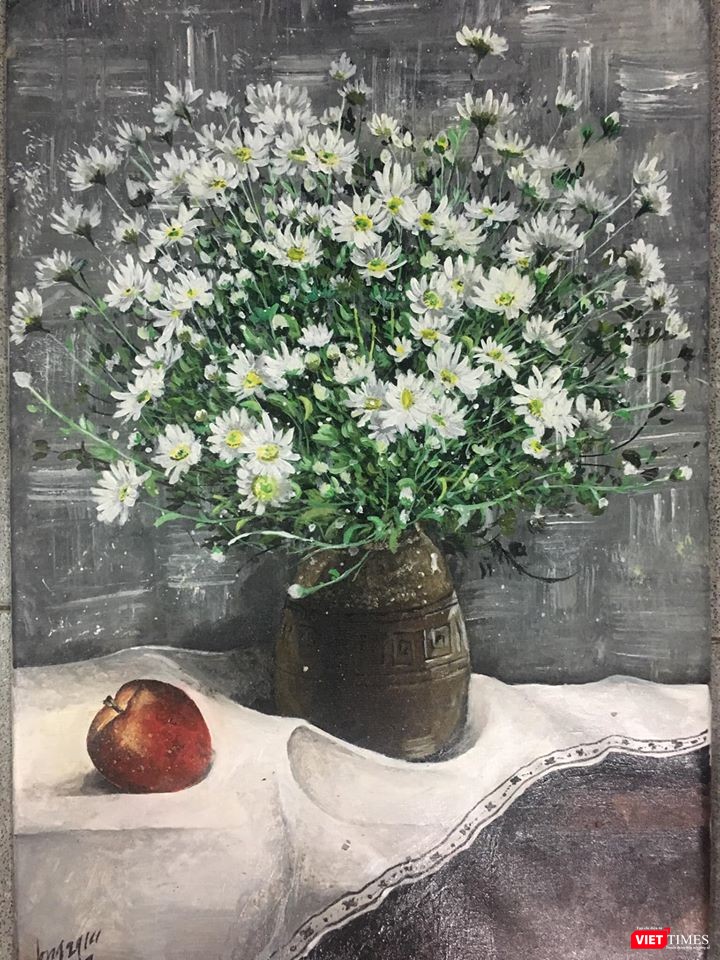 Cúc họa mi rung rinh sống động vẻ đẹp khiêm nhường 