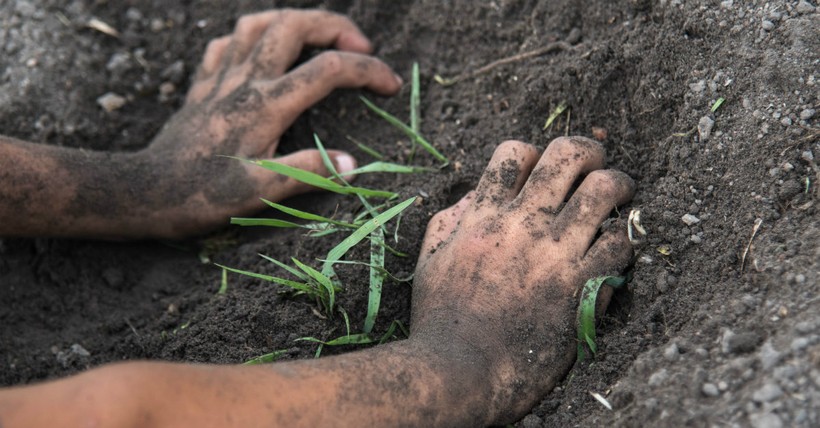 Vi khuẩn gây bệnh Whitmore tồn tại trong đất, dễ lây nhiễm vào cơ thể thông qua các vết xước, tổn thương da. Vi khuẩn gây bệnh Whitmore tồn tại trong đất, dễ lây nhiễm vào cơ thể thông qua các vết xước, tổn thương da.