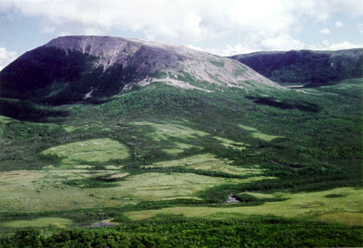 Năm 1987, công viên đã được UNESCO công nhận là Di sản thế giới. Ảnh: unesco.