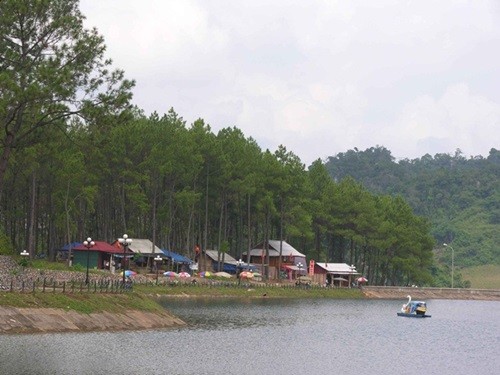 Kinh nghiệm du lịch Mộc Châu dịp Tết Nguyên đán ảnh 3