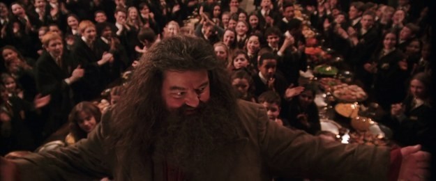 Tái hiện bộ truyện Harry Potter qua 100 khoảnh khắc đẹp nhất ảnh 19 Tái hiện bộ truyện Harry Potter qua 100 khoảnh khắc đẹp nhất ảnh 19