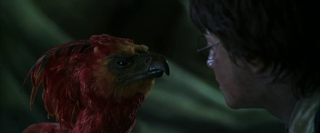 Tái hiện bộ truyện Harry Potter qua 100 khoảnh khắc đẹp nhất ảnh 17 Tái hiện bộ truyện Harry Potter qua 100 khoảnh khắc đẹp nhất ảnh 17