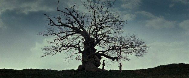 Tái hiện bộ truyện Harry Potter qua 100 khoảnh khắc đẹp nhất ảnh 93 Tái hiện bộ truyện Harry Potter qua 100 khoảnh khắc đẹp nhất ảnh 93