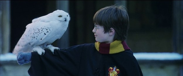Tái hiện bộ truyện Harry Potter qua 100 khoảnh khắc đẹp nhất ảnh 7 Tái hiện bộ truyện Harry Potter qua 100 khoảnh khắc đẹp nhất ảnh 7