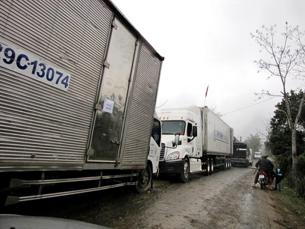 'Kong: Skull Island' thực hiện cảnh đấu súng trên phim trường Yên Phú - ảnh 2