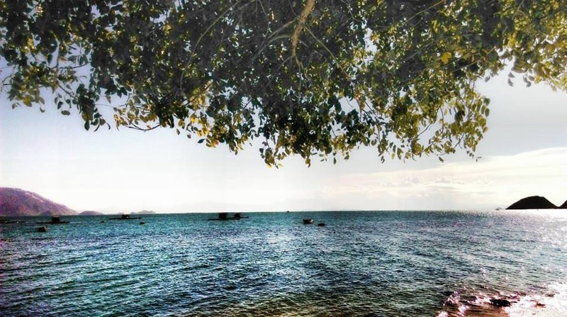 Cận cảnh hòn đảo có lối đi giữa biển duy nhất tại Việt Nam ảnh 3