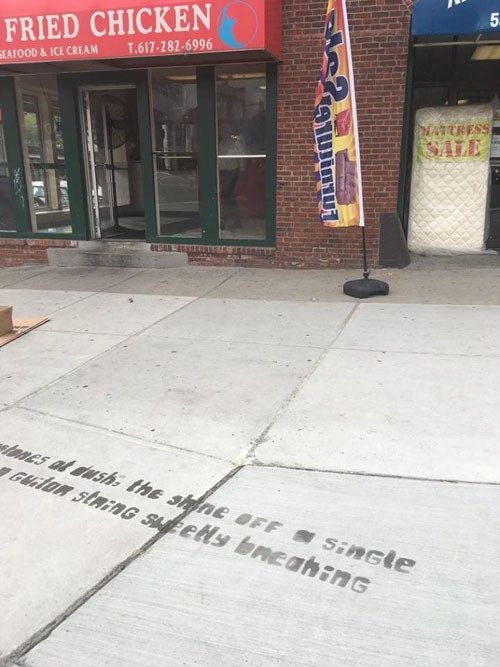 Mỹ: Bài thơ lạ chỉ xuất hiện khi mưa ảnh 3