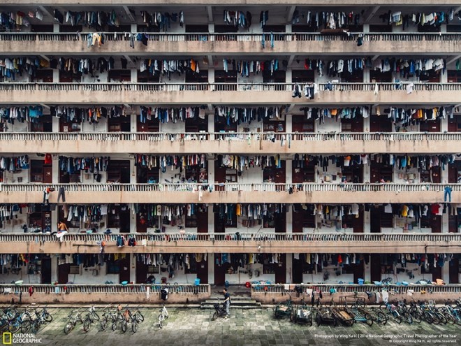 Ấn tượng những bức ảnh đoạt giải National Geographic 2016 ảnh 8