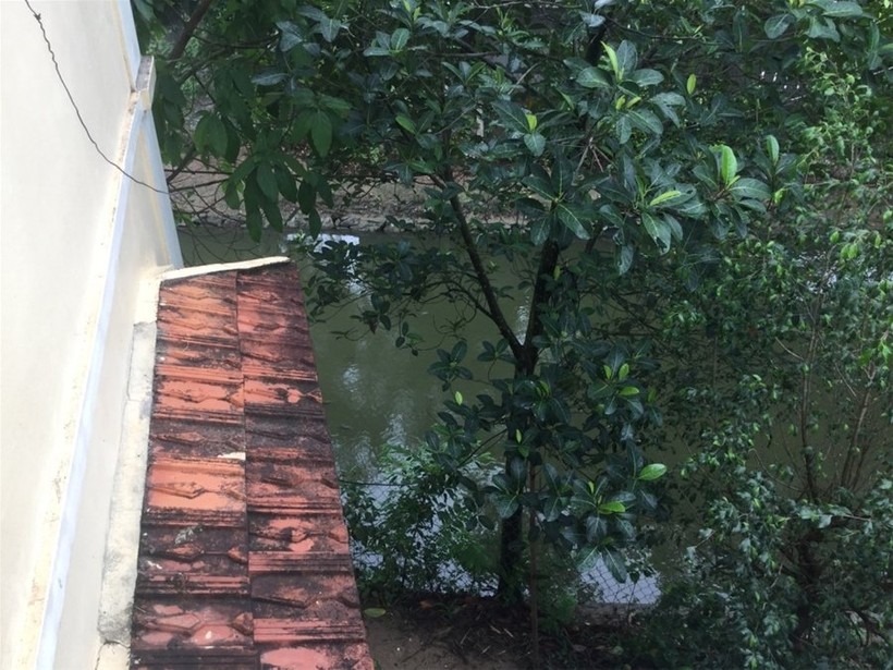 "Một ngày ở Việt Nam" khiến cộng đồng mạng thế giới... "phát sốt" ảnh 12