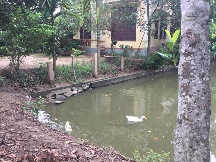 "Một ngày ở Việt Nam" khiến cộng đồng mạng thế giới... "phát sốt" ảnh 20